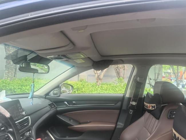 男子忘关车窗车内惊现蜂巢