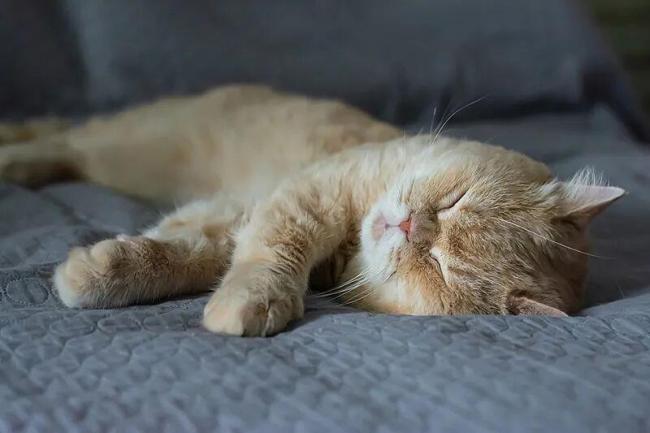 “长寿公式”出炉 每天做好这3件事能延寿近10年