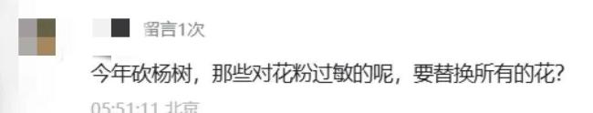 北京苦杨柳絮久矣 真正该砍的是什么 无效治理与信息壁垒