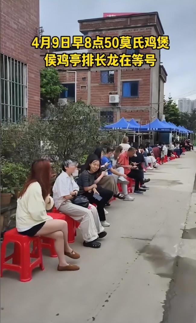 顺德鸡煲带火顺德美食 小店排队超300桌