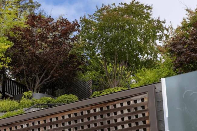 OpenAI CEO住所再遭枪击