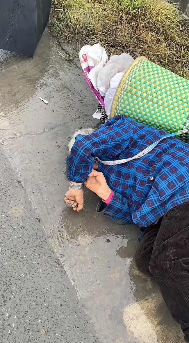 老太被撞致骨裂 71岁肇事者被找到