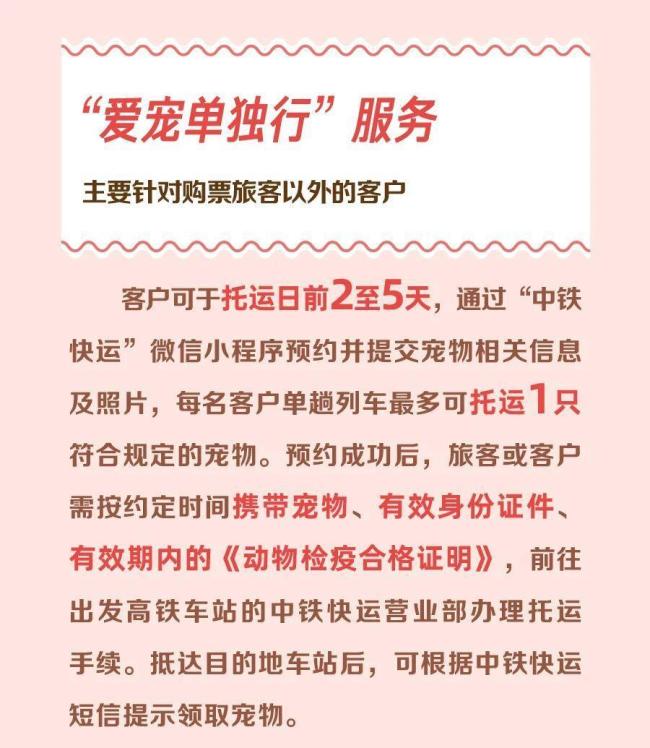 宠物可以独自“坐”高铁了 铁路服务升级