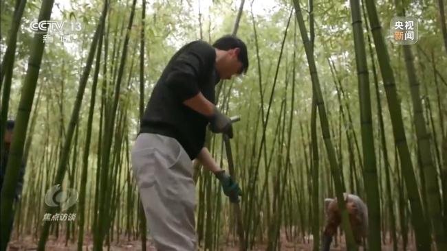 钱袋子如何鼓起来 三大方向明确 增收路径探索中