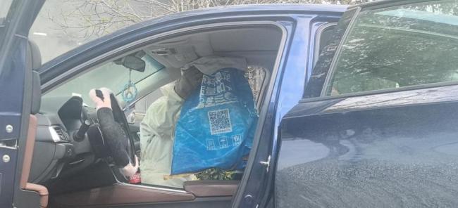 男子忘关车窗发现蜜蜂筑巢：消防员迅速处置蜂巢