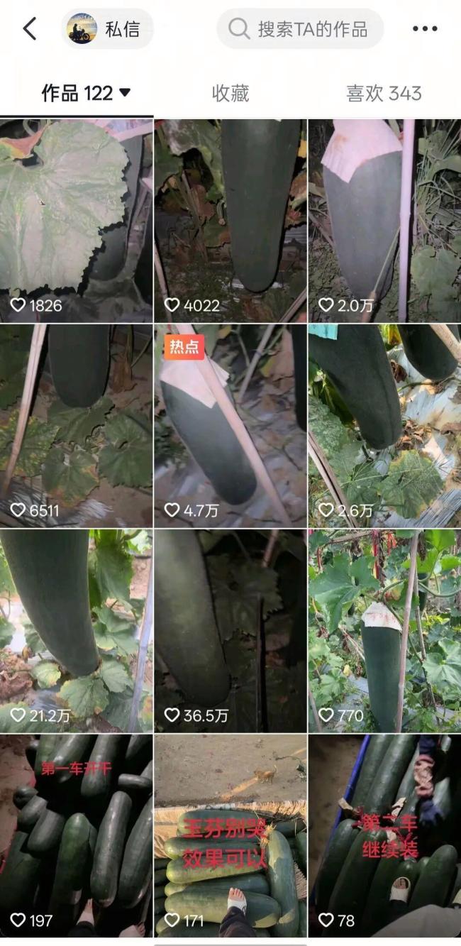 30岁男子深夜敲瓜成网红