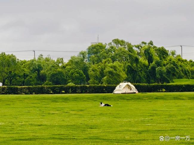 一张图看清上海房价的“水位线” 五年变化揭示板块沉浮