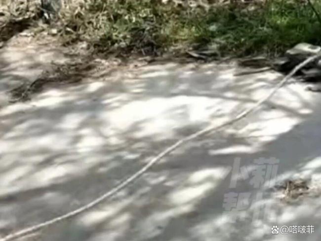 被绳索锁喉男孩已脱离生命危急 村民自愿捐钱合作