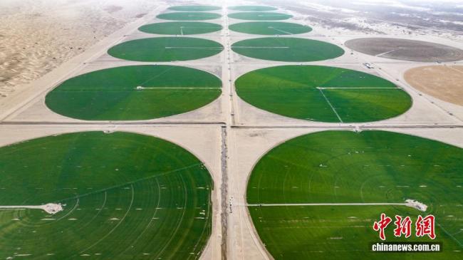 塔克拉玛干沙漠边缘现“绿色圆盘”