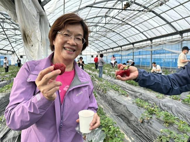 国民党彰化县长人选卡关？郑丽文回应