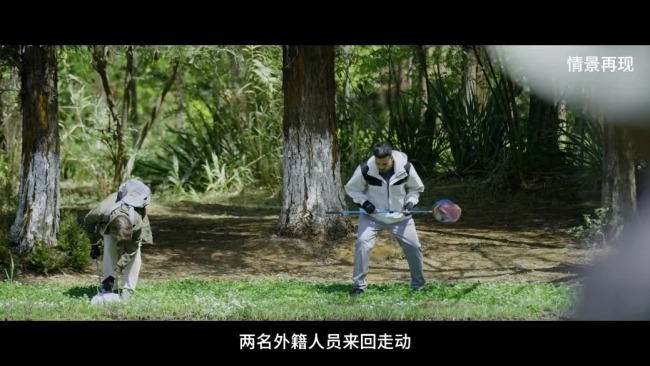 外籍人员境内违规捕蝶被识破