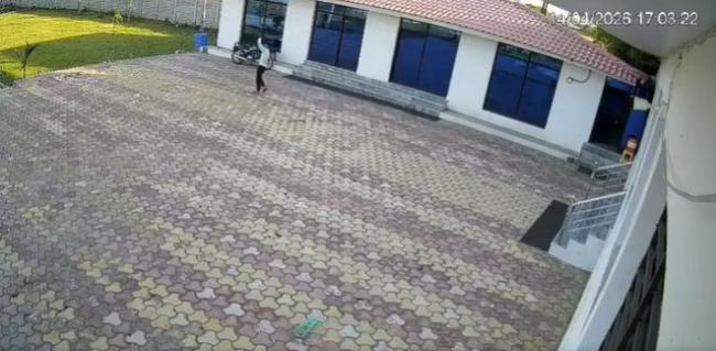 印度一男子驱赶猴子触电身亡