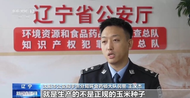 买便宜种子导致减产甚至绝收 警惕“假劣种子”