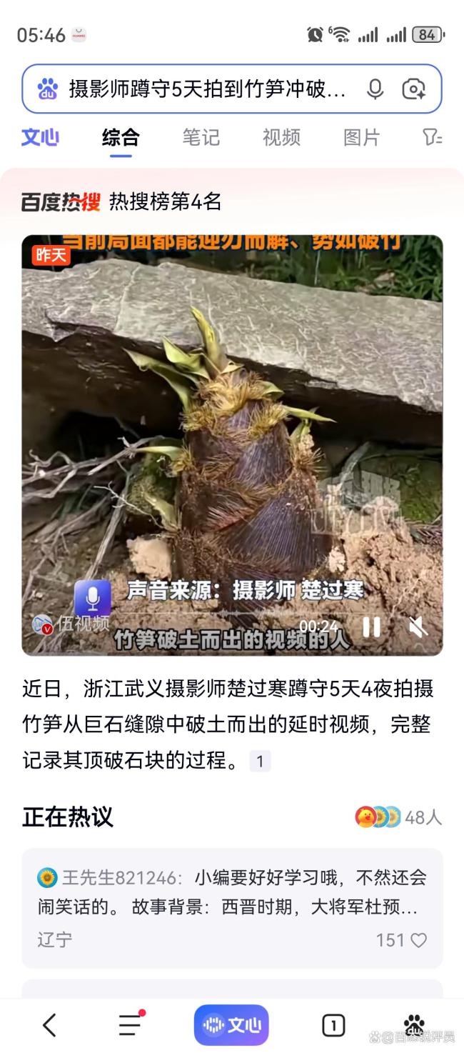 摄影师拍到竹笋冲破巨石 生命的力量感动全网