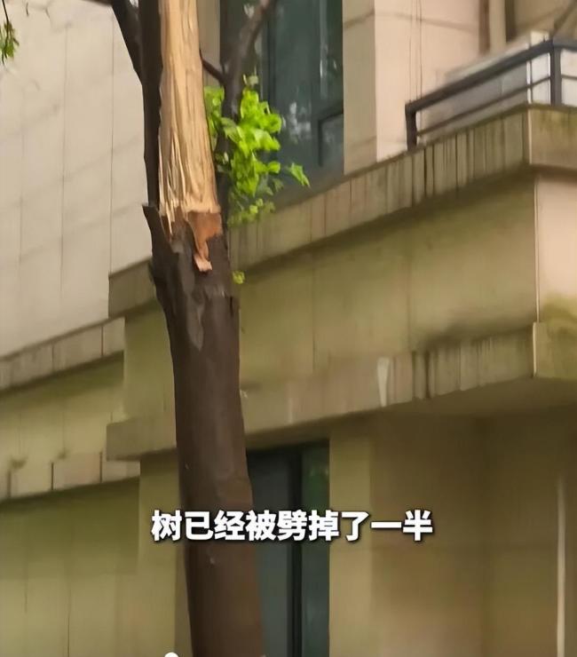 长沙一小区惊现“纸片墙” 大风刮落外墙引发担忧