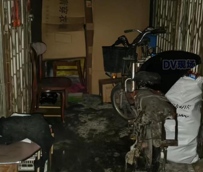 居民喂流浪猫致小区臭气熏天