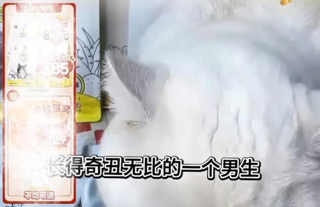 称代言人“奇丑无比” 品牌致歉 主播言论引发争议