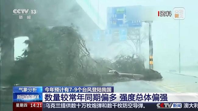 今年预计7至9个台风登陆我国 数量偏多强度增强