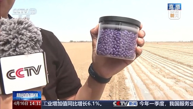 误差不到万分之一！播种用上北斗导航效率翻倍