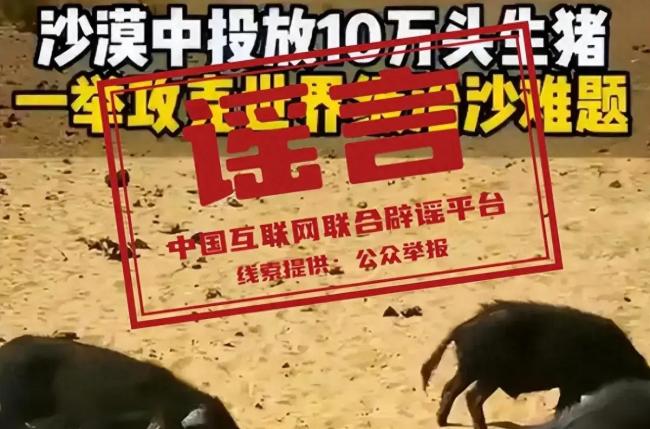 如何终结“十万黑猪治沙”式谣言 提升全民科学素养