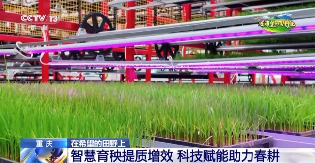 机器播种 “智慧春耕”正在进行中