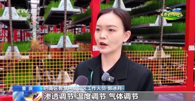 機(jī)器播種 “智慧春耕”正在進(jìn)行中