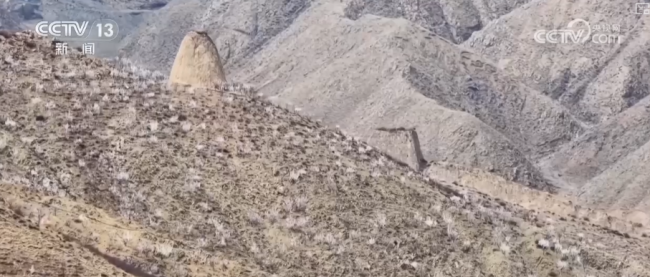 以花为媒、以节兴旅 解锁多样春日限定浪漫