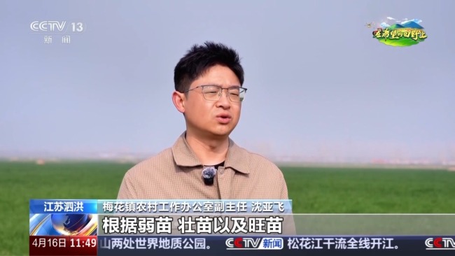 機器播種 “智慧春耕”正在進行中