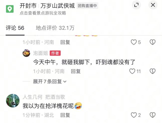 万岁山树干断落砸伤3名游客 景区安全隐患引关注