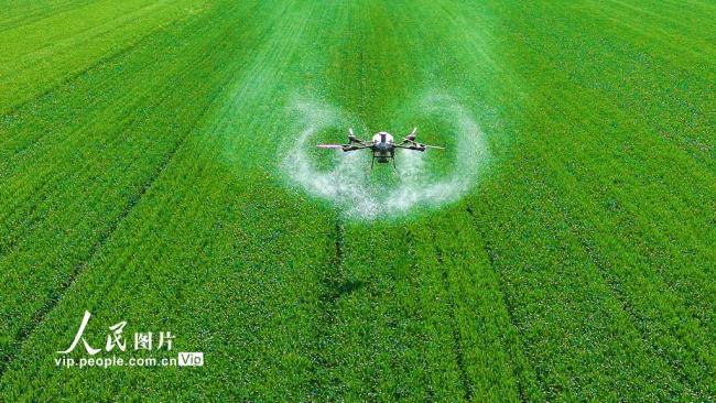 河南南阳：谷雨春耕图