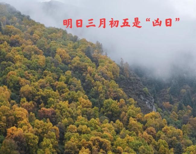 三月初五“月忌日” 4事别犯忌讳