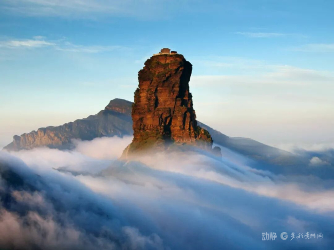 探秘贵州喀斯特地貌上的万物生 生态奇迹绘绿意