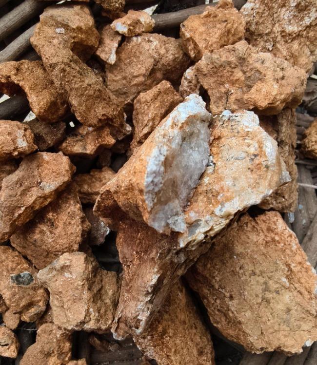 官方回应男童疑发现金矿：有可能 8岁男童上山挖野菜疑似发现金矿