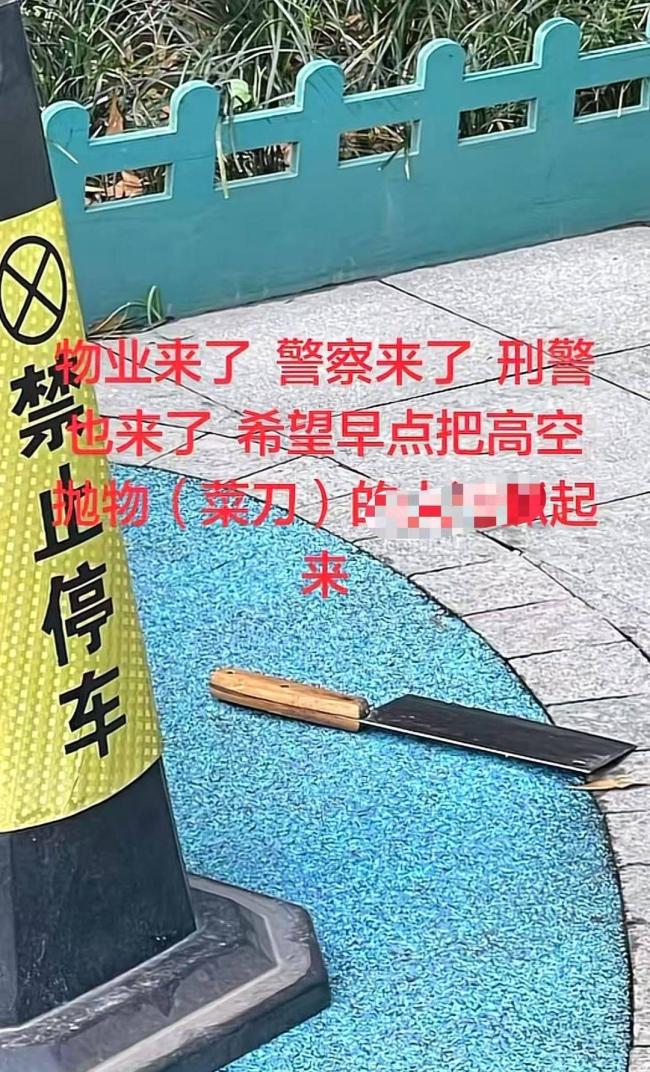 小区高空抛菜刀嫌疑人被刑拘 警方已展开调查