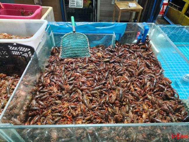 小龙虾低至8元一斤 成都市场量增价跌