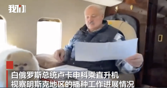 卢卡申科专机处理文件爱犬趴桌陪伴