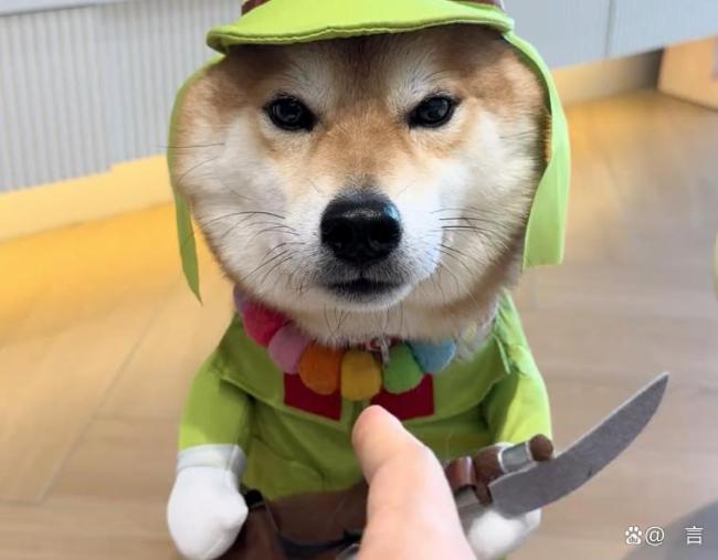 靖国神社再上演拜鬼闹剧 议员集体参拜暴露历史认知扭曲