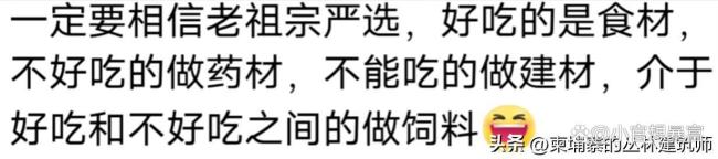 老祖宗不愿带回来的食物一定难吃 评论区真相了
