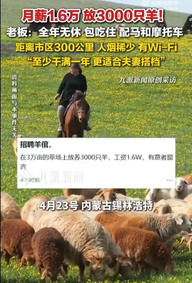 熱搜刷屏！月薪1.6萬招人放羊，包吃住有WiFi，老板發(fā)聲