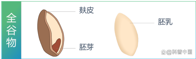一种被严重忽视的粗粮产品！冲泡就能吃，营养丰富还升糖慢 燕麦麸皮的理想选择