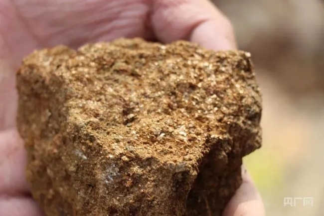 发现金矿线索的8岁娃家长发声 好奇引发专业调查