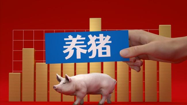 4月27日猪价2连跌