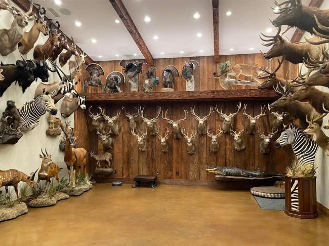 美国富豪打猎被5头大象踩踏身亡 猎手反成猎物