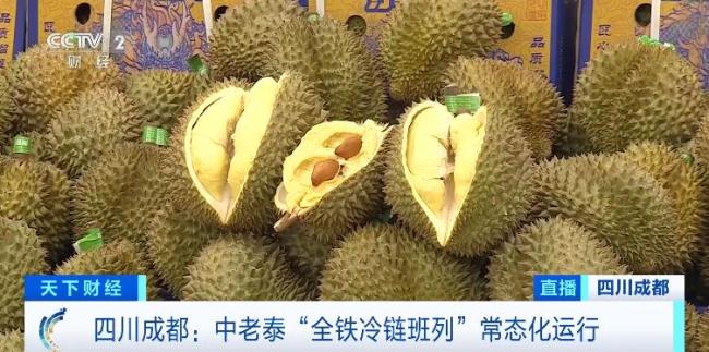 价格大降超三成 2万吨榴莲来了 全铁冷链班列助力