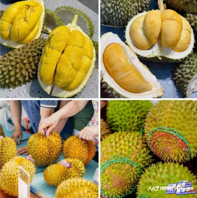 “五一”来广州南沙解锁多种玩法 文旅盛宴等你来