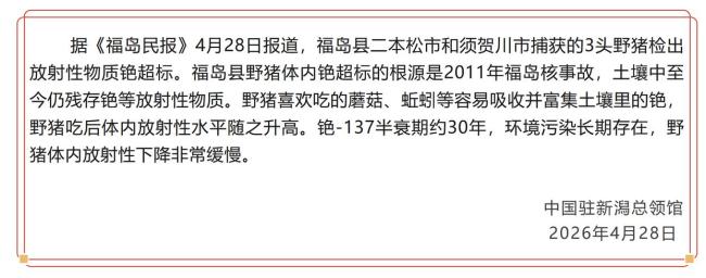 日本福岛县野猪，检出放射性铯超标！核事故反应堆内部至今仍有“极高”核辐射