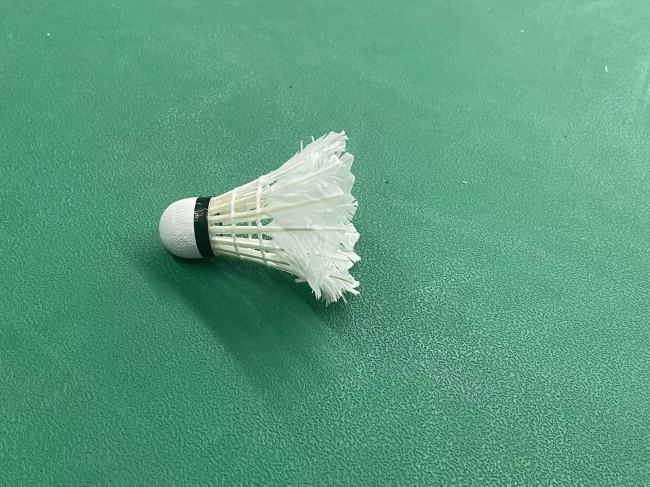 羽毛球的钱为什么这么难赚 产业链与定价困局