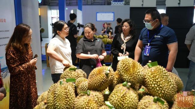 榴莲价格被打下来了