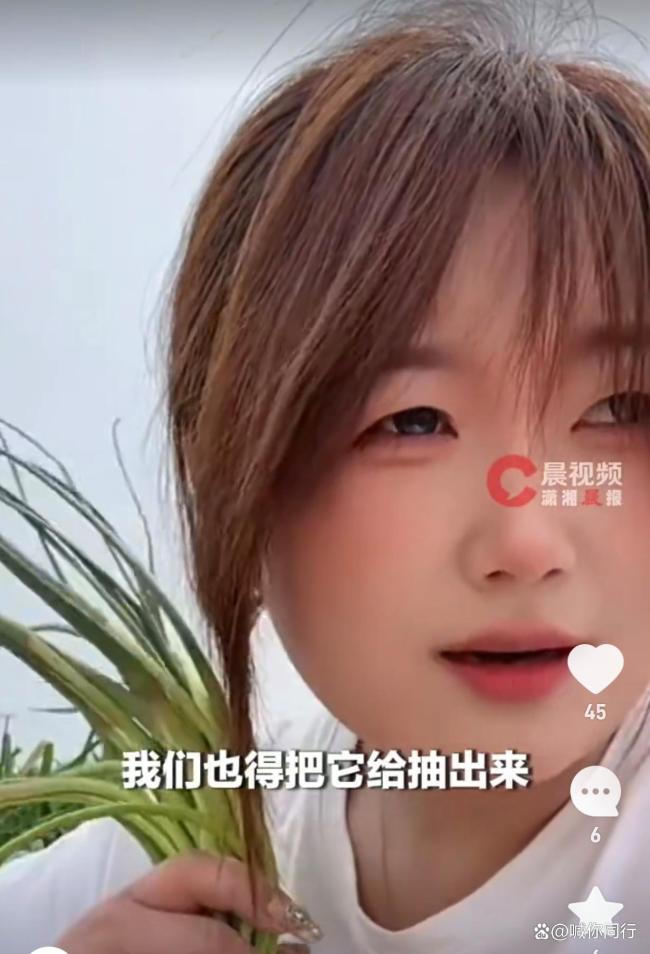 希望今天都来俺地里偷蒜薹：蒜农在线“求偷”引发网友热情响应