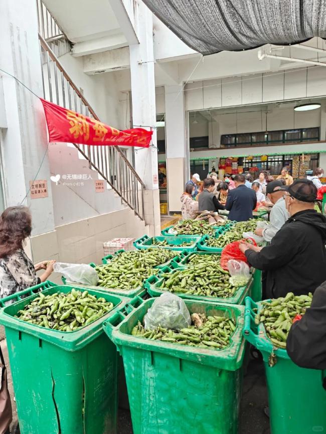 苏州一市场禁止剥蚕豆 为防壳乱扔